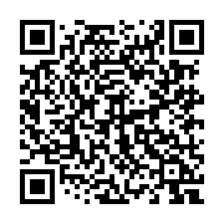 QR code for 461MMF