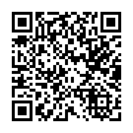 QR code for 463YYI
