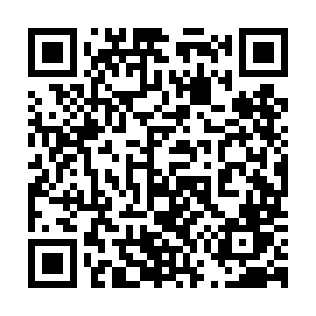QR code for 478DMV