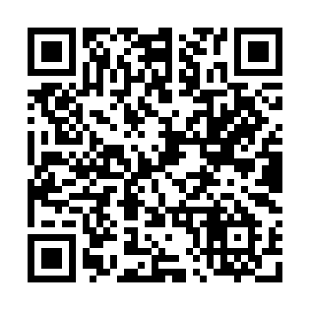 QR code for 489SIM