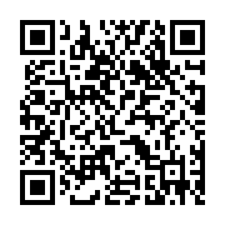 QR code for 490ZLN