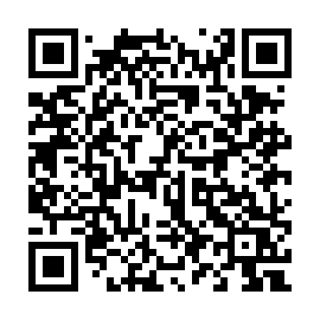 QR code for 491DHS