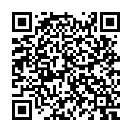 QR code for 493EUY