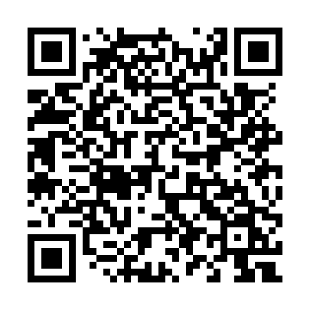QR code for 493OPN