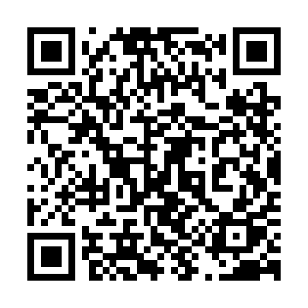 QR code for 493SAP