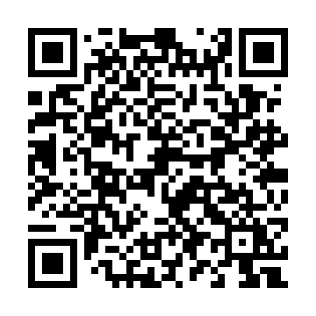 QR code for 493UGY