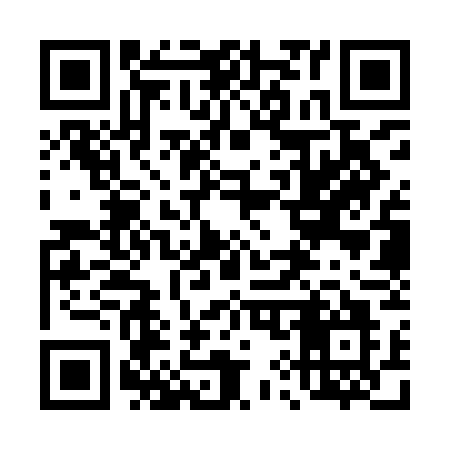 QR code for 493YGO