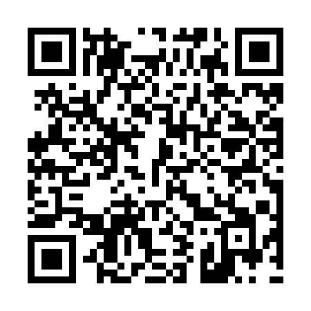 QR code for 493ZQI