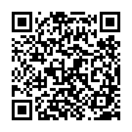 QR code for 495TLM