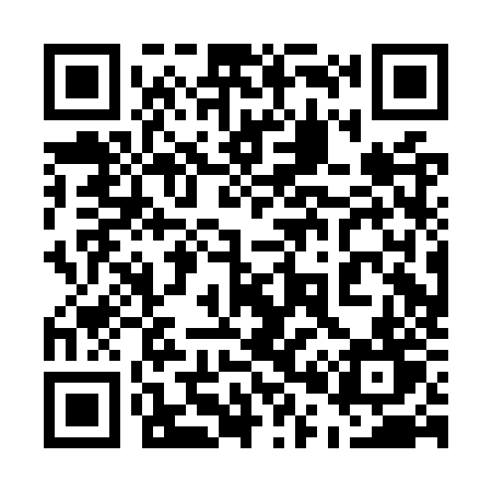 QR code for 500OZT