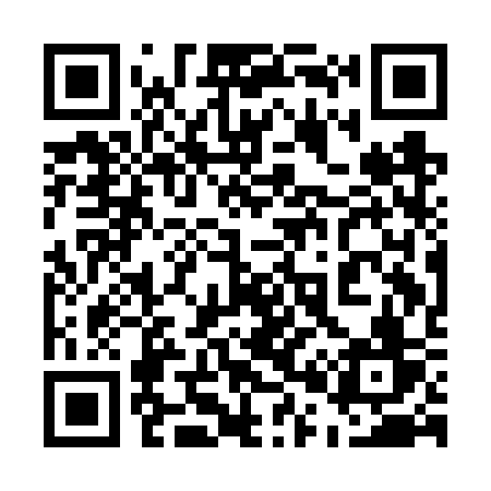 QR code for 501FSV