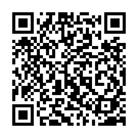 QR code for 509OII