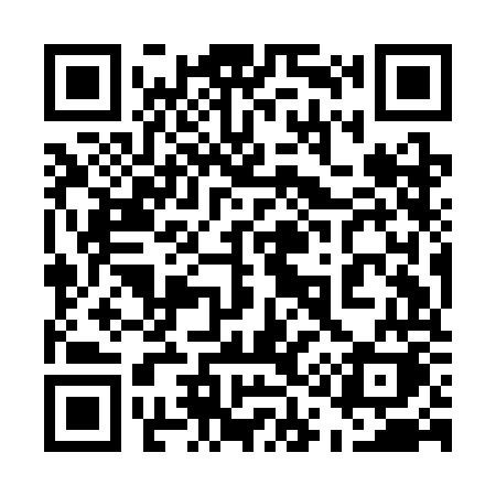 QR code for 519COK