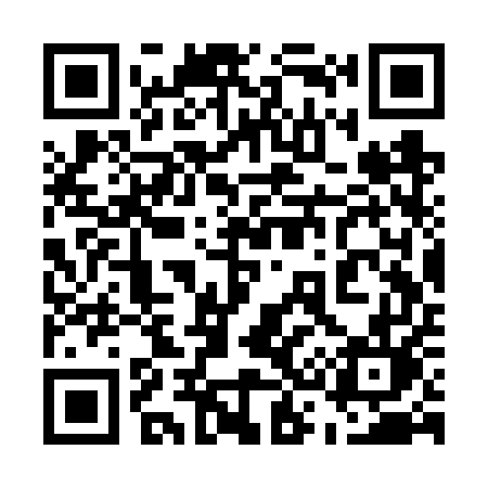 QR code for 533VUL