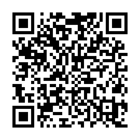QR code for 541INI