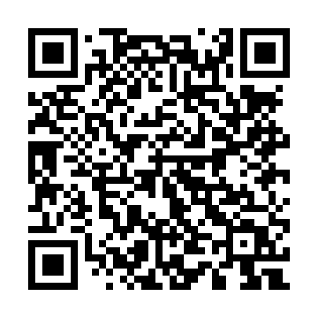 QR code for 541LUT