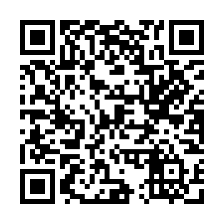 QR code for 550INT