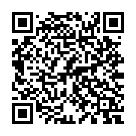 QR code for 595PTP