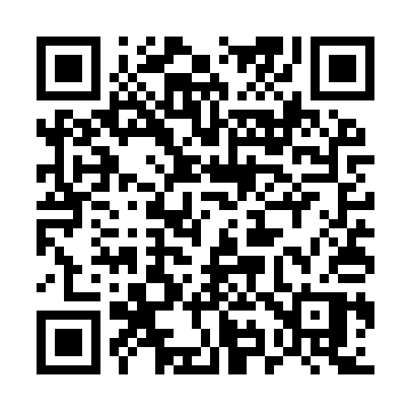 QR code for 595YQP