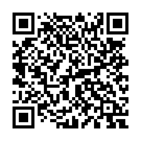 QR code for 597LSB