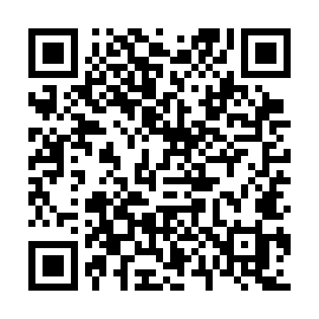 QR code for 609SMI