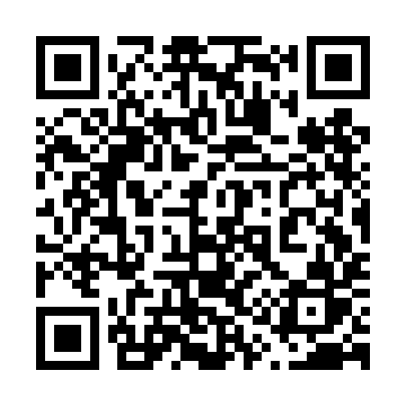 QR code for 613DIR