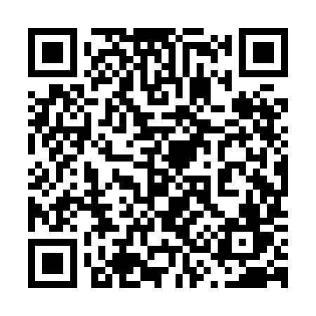 QR code for 638HIV