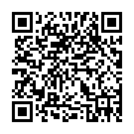 QR code for 650QPP
