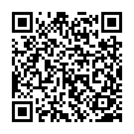 QR code for 653STX