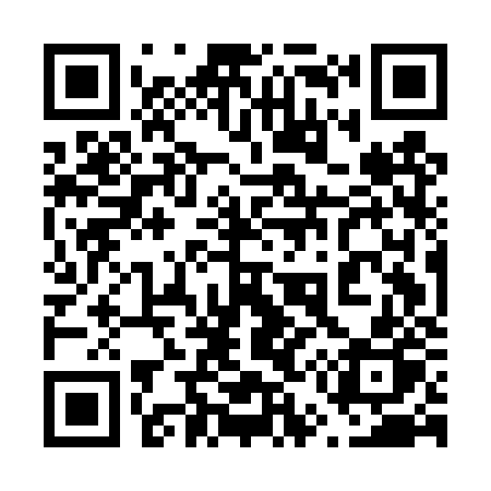 QR code for 655DZP