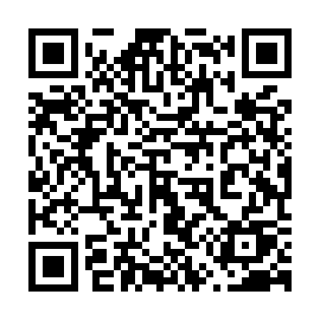 QR code for 658MSU