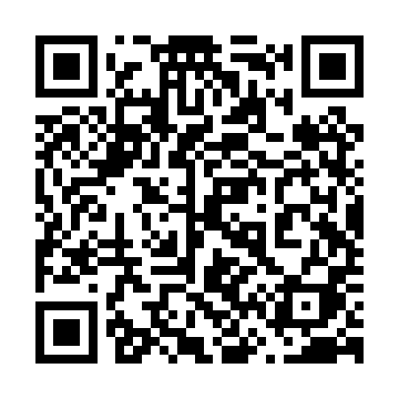 QR code for 662PPI