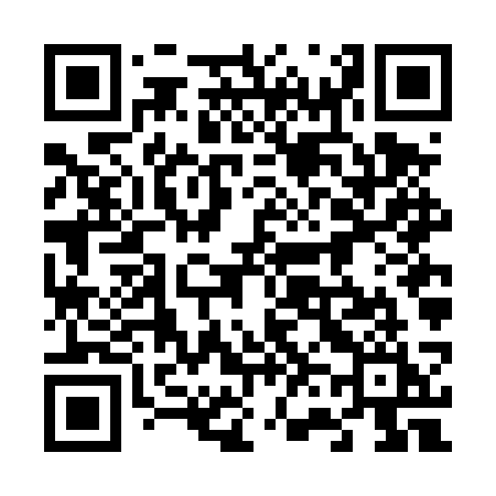 QR code for 666DSI