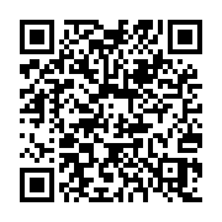 QR code for 687MAS