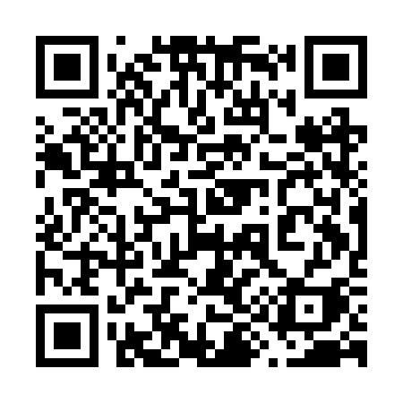 QR code for 691BSI