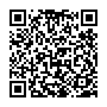QR code for 699DIQ