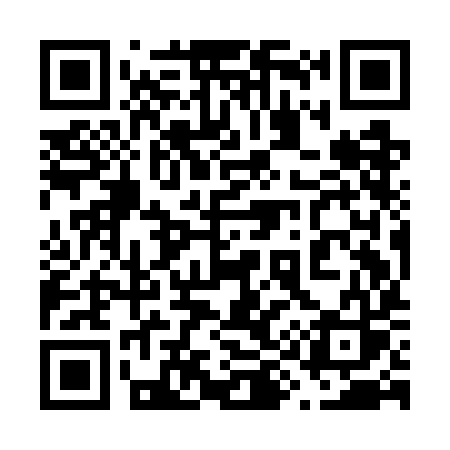QR code for 699GIS