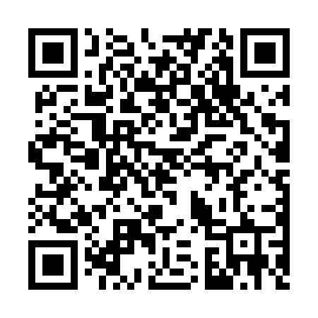 QR code for 737DZR