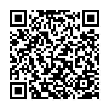QR code for 737EOT