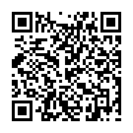 QR code for 737QFO