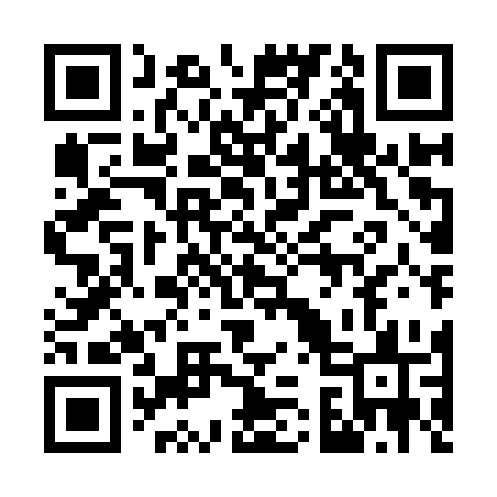 QR code for 738ISS