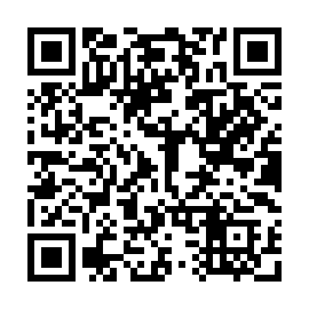 QR code for 738SIC
