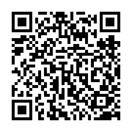 QR code for 747VIZ