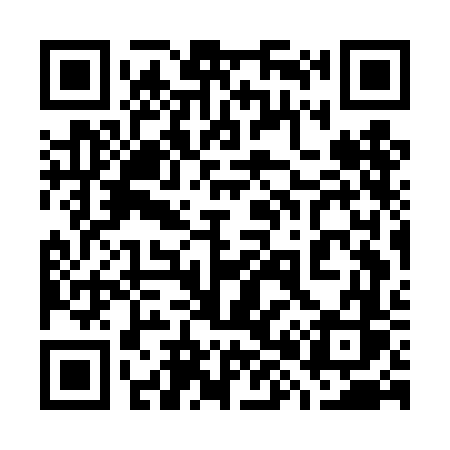 QR code for 787DFS