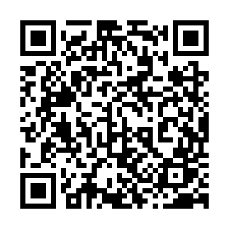 QR code for 838SUR