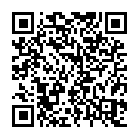 QR code for 863IFS