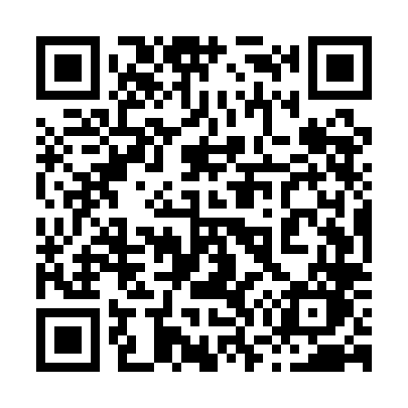 QR code for 875QLO