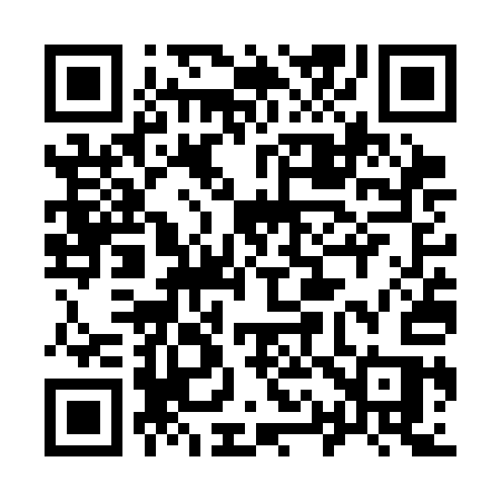 QR code for 917SAS