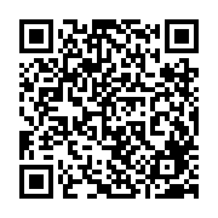 QR code for 919CHF