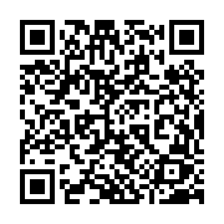 QR code for 919PVZ